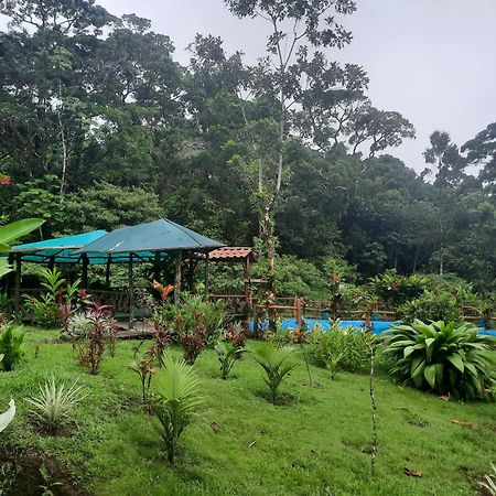 Oski Lodge, Rain Forest Rincon De La Vieja Upala Kültér fotó