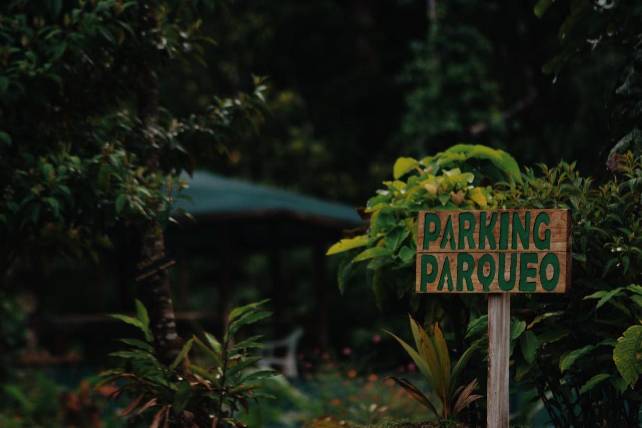 Oski Lodge, Rain Forest Rincon De La Vieja Upala Kültér fotó