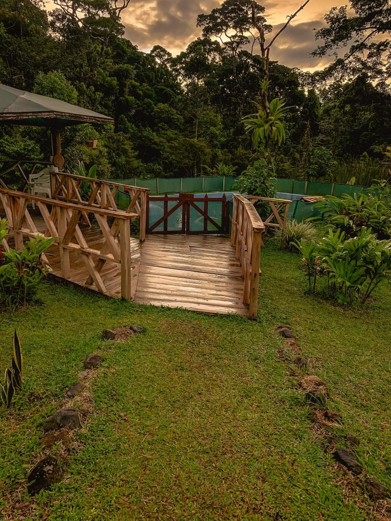 Oski Lodge, Rain Forest Rincon De La Vieja Upala Kültér fotó