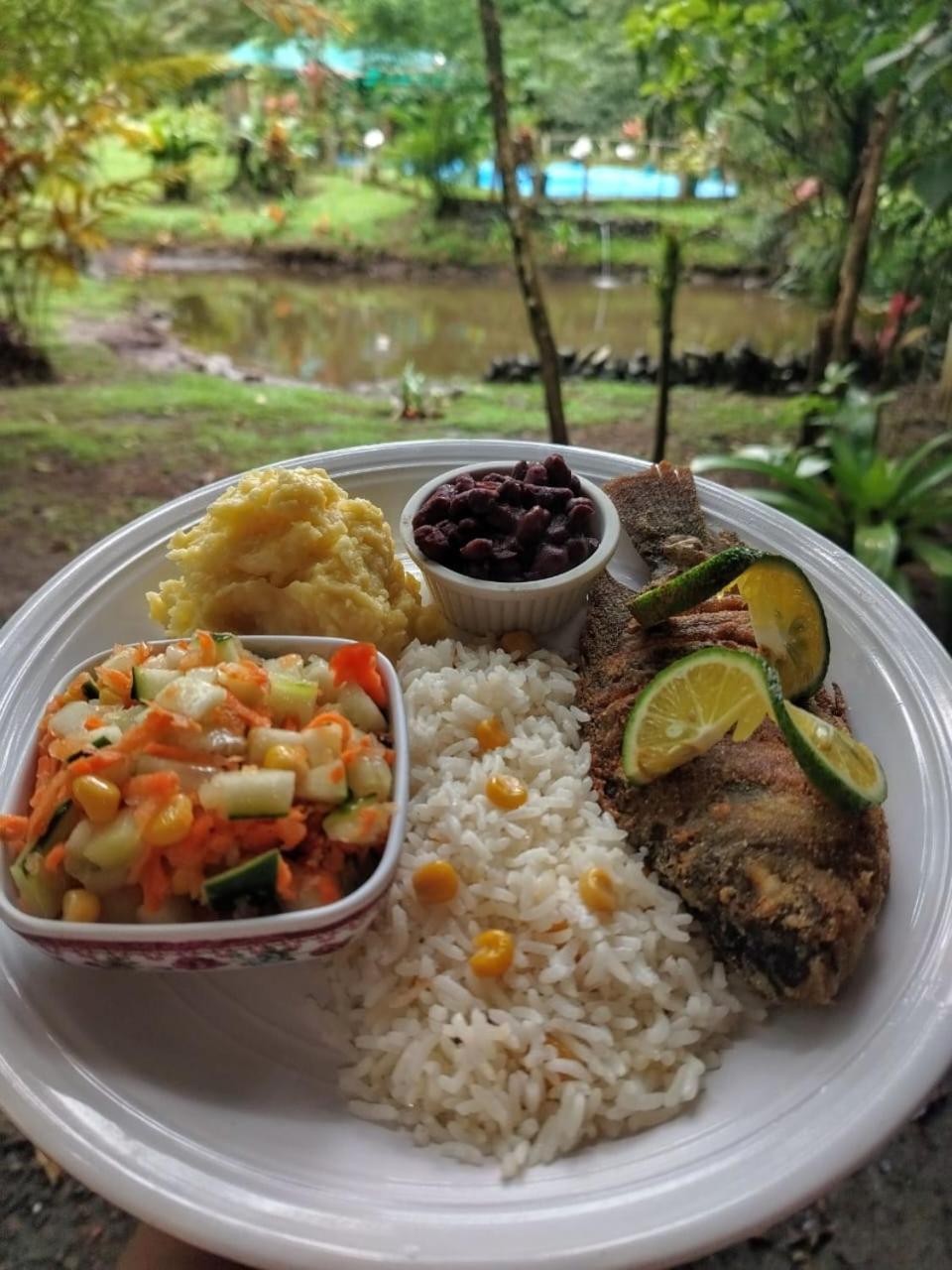 Oski Lodge, Rain Forest Rincon De La Vieja Upala Kültér fotó