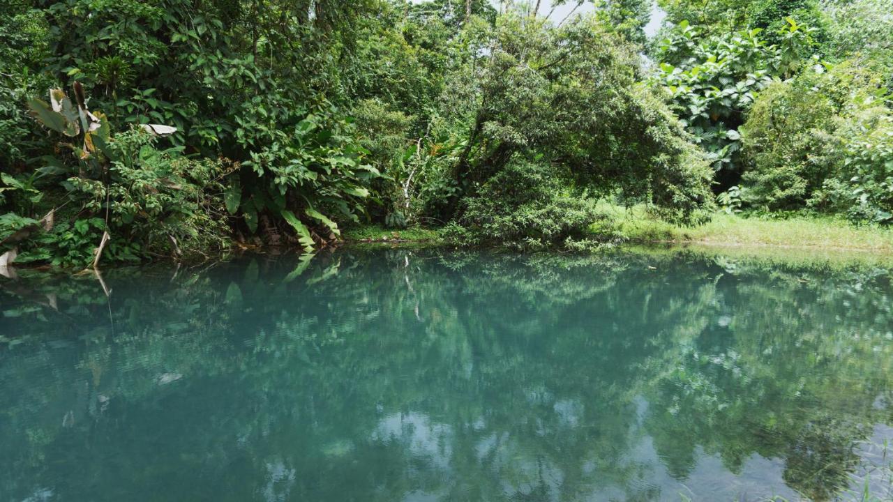 Oski Lodge, Rain Forest Rincon De La Vieja Upala Kültér fotó